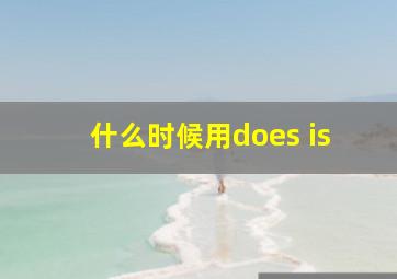 什么时候用does is